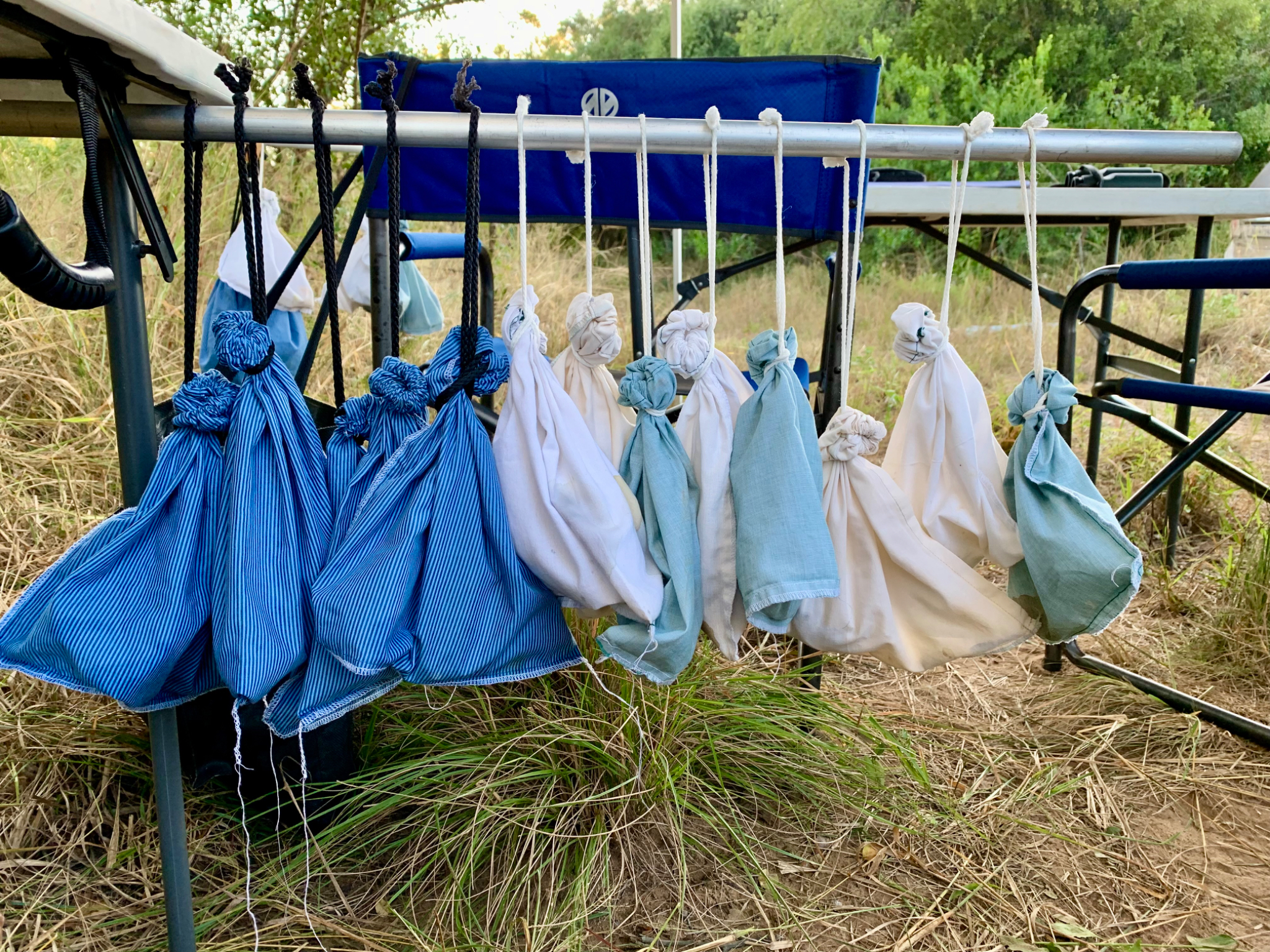 Birds in bags
